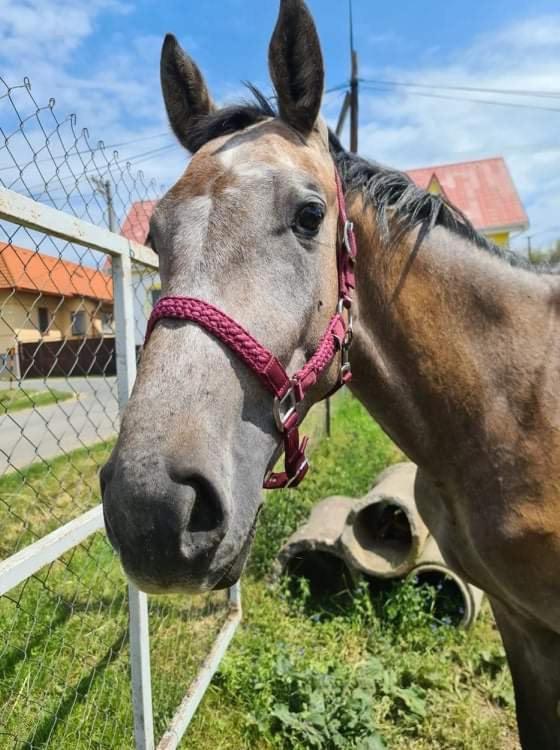 Agro Privat Hrabušice Exterior foto
