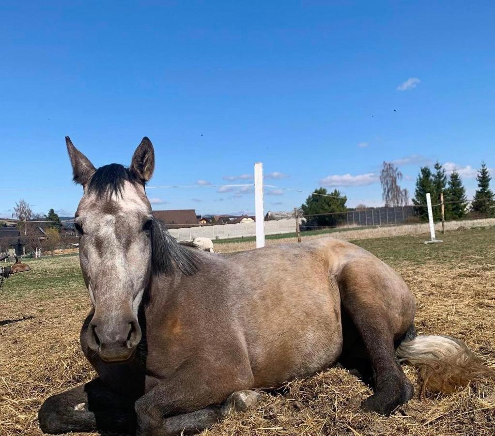 Agro Privat Hrabušice Exterior foto